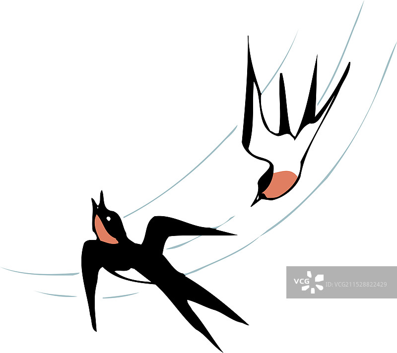 山茶花图片素材