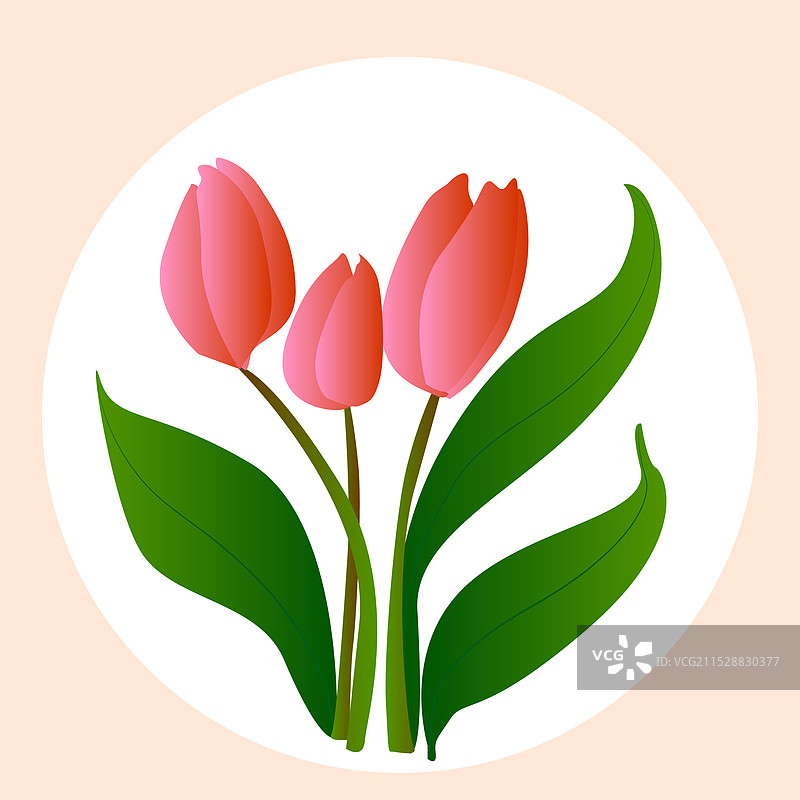 花卉插画矢量植物花朵类图片素材