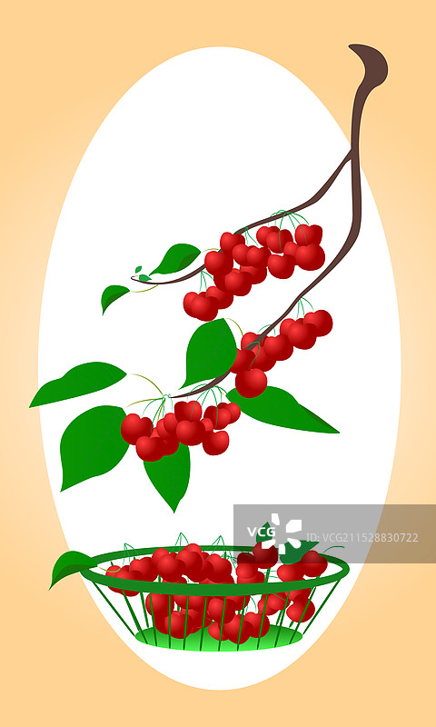 水果蔬菜苹果车厘子黄瓜矢量图片素材