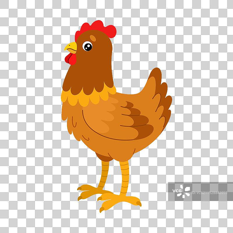 卡通平面风格的农场鸡图片素材