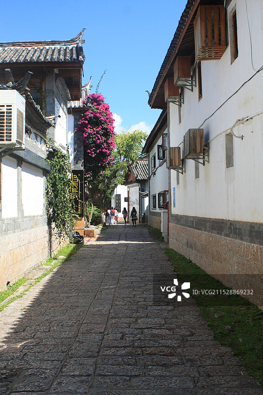 丽江城市建筑物中绿叶红花装饰的白墙空巷图片素材