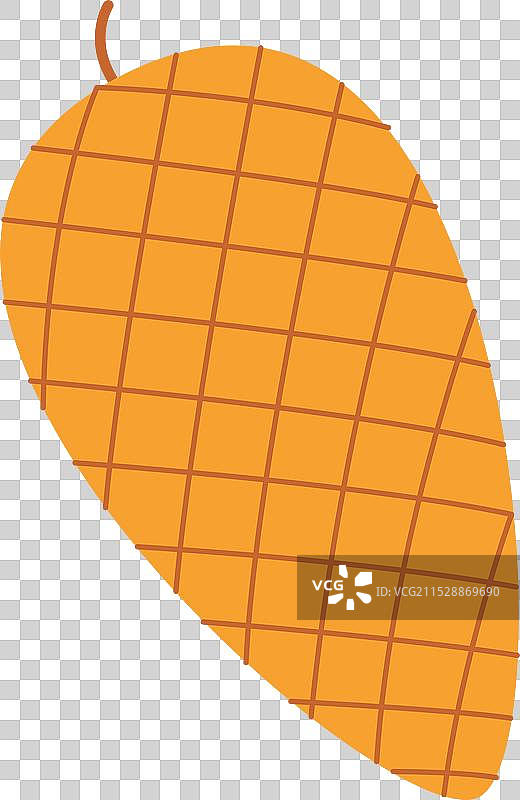 冷杉松的棕色松果图片素材