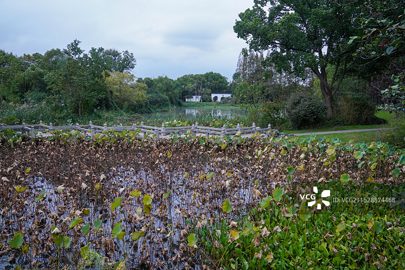 江苏省 苏州市 昆山 亭林园图片素材