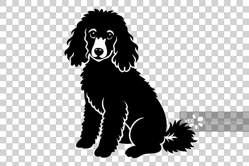 贵宾犬坐姿剪影图片素材