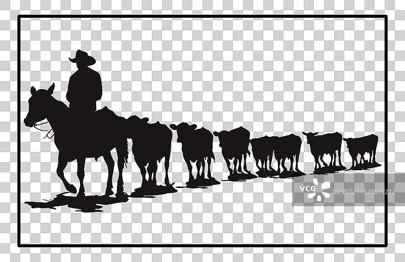 日落时分的牛群驱赶剪影图片素材