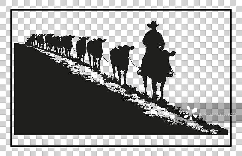 日落时分的牛群驱赶剪影图片素材