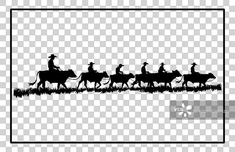 日落时分的牛群驱赶剪影图片素材