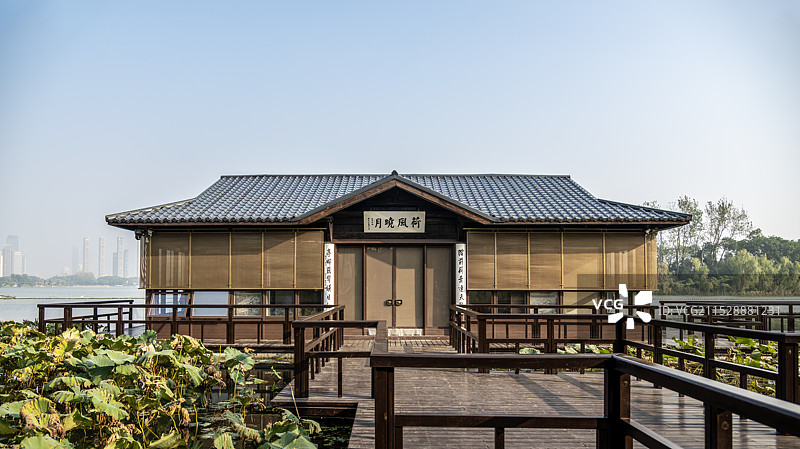 荷风晓月图片素材