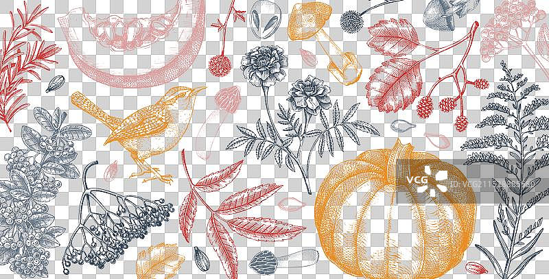 温暖的秋季横幅，素描风格的落叶图片素材