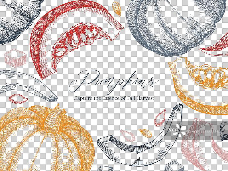 手绘南瓜框架设计秋季蔬菜图片素材