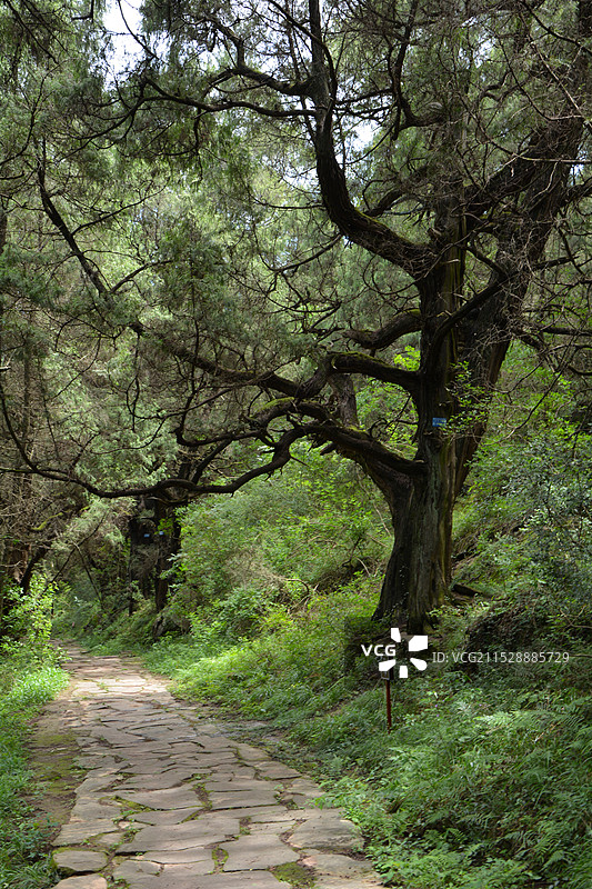 古蜀道拦马墙景区图片素材
