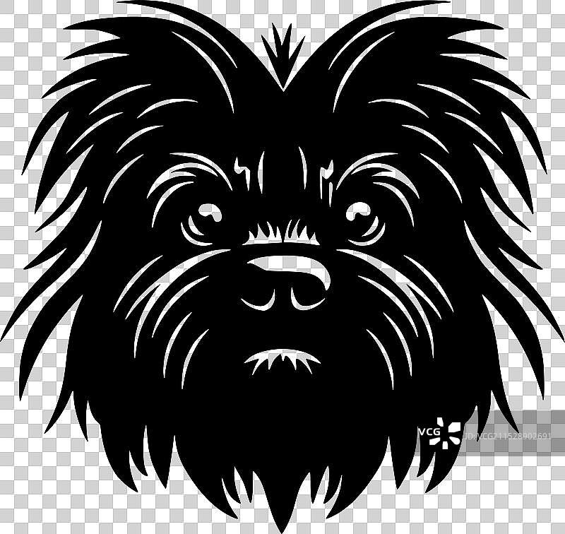 阿芬平犬 - 黑白色图片素材