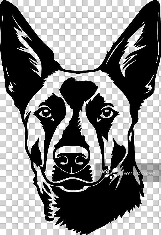 澳大利亚凯尔皮犬 - 极简而简单图片素材