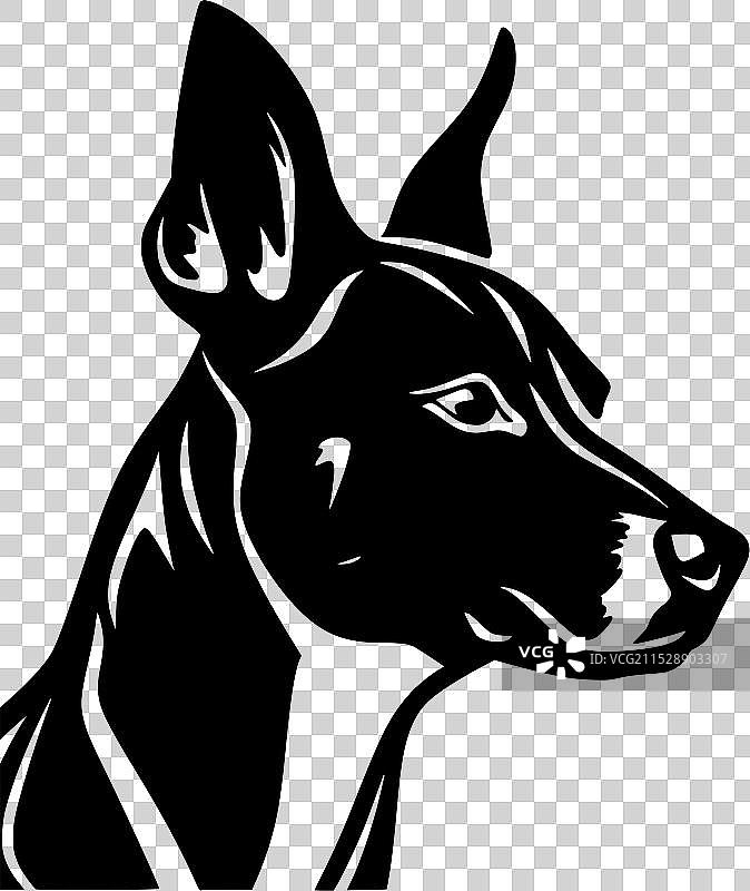 巴森吉犬 - 高质量标志 - 适合T恤使用图片素材