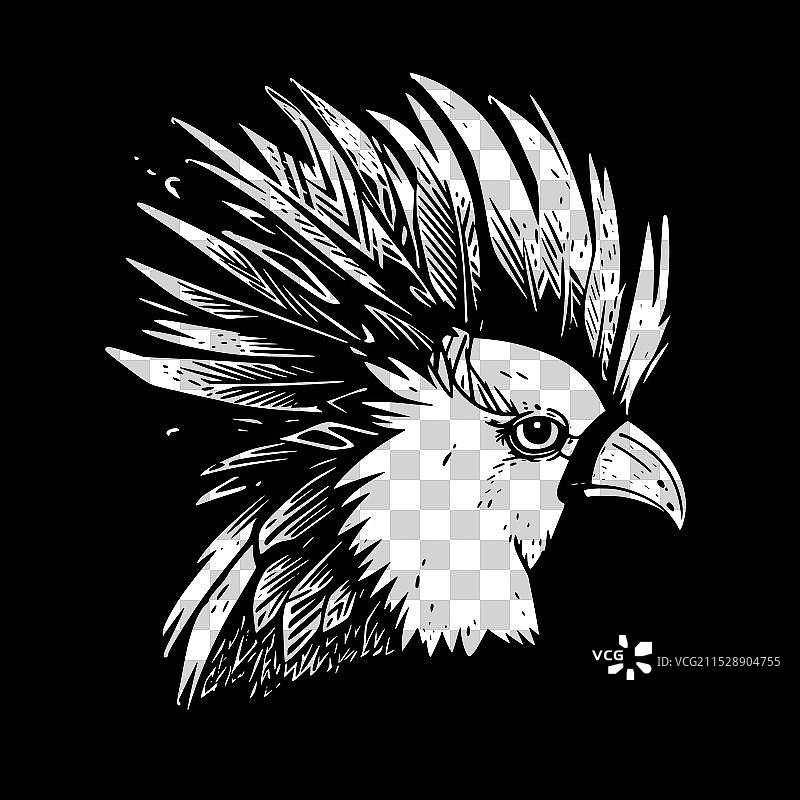 黑白色的鹦鹉图片素材