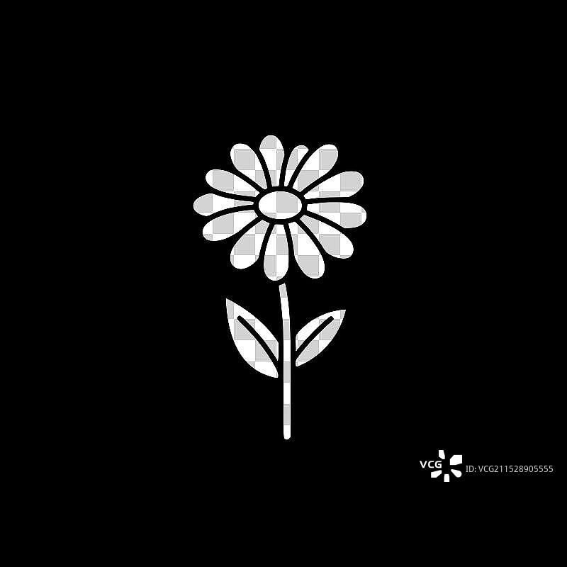 雏菊 - 黑白孤立图标图片素材