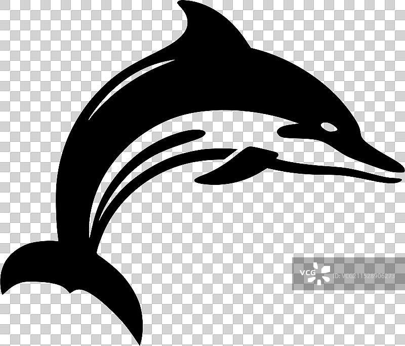 黑白海豚图片素材