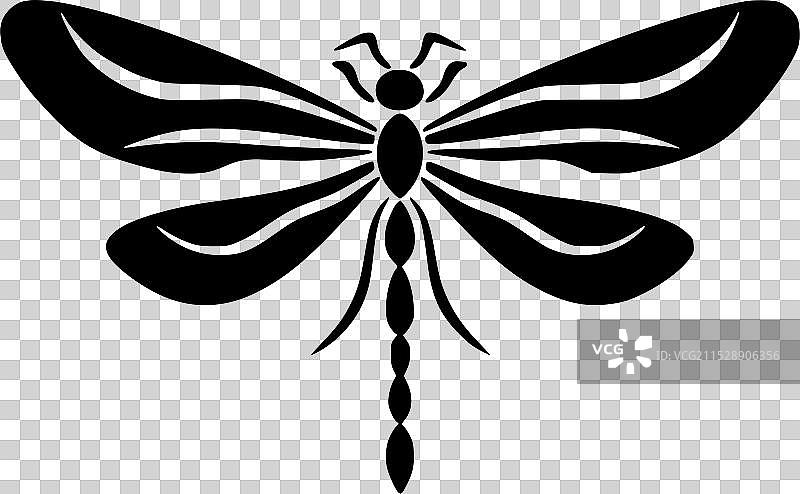 蜻蜓 - 高质量标志 - 适合T恤设计图片素材