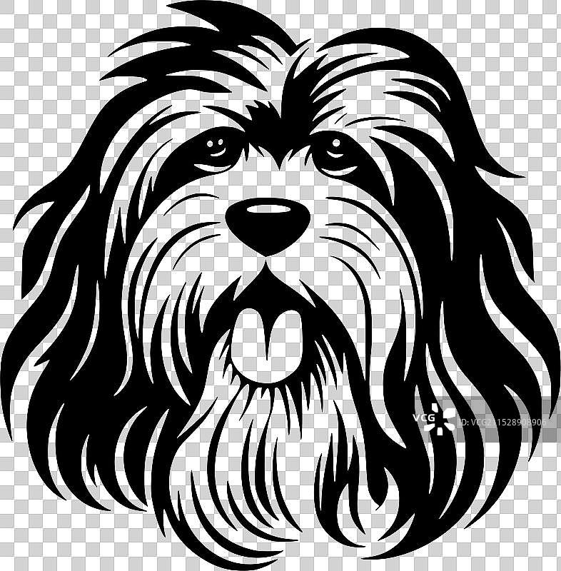 哈瓦那犬 - 黑白孤立图标图片素材