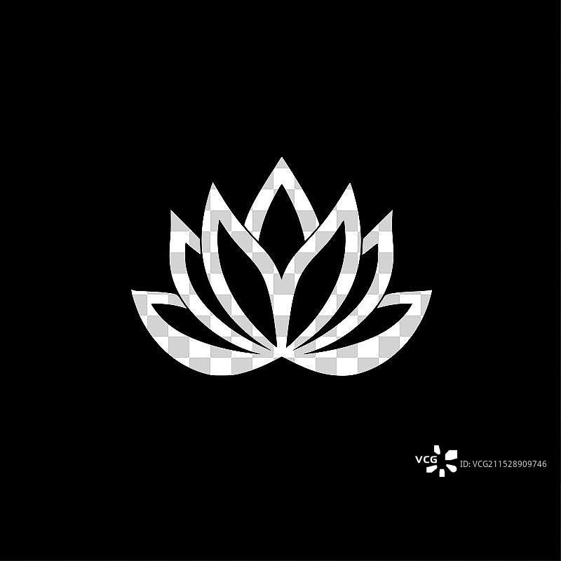 黑白莲花图片素材