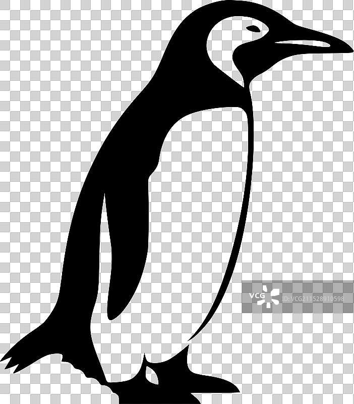 企鹅 - 极简和简单的轮廓图片素材