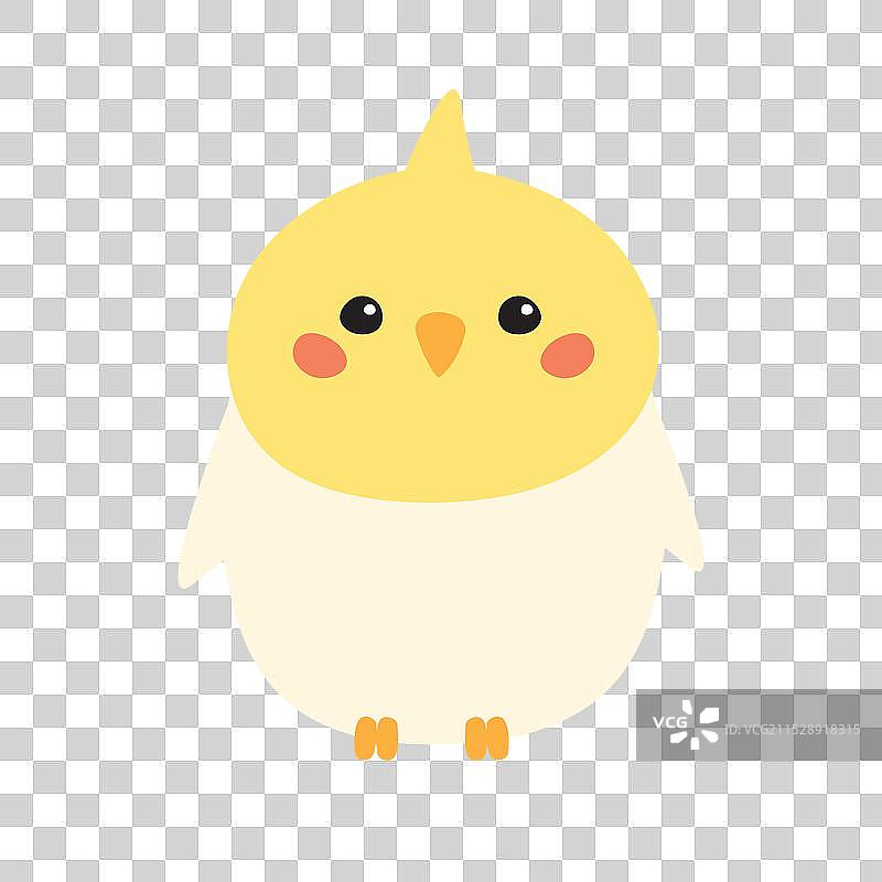 手绘平面鹦鹉图片素材