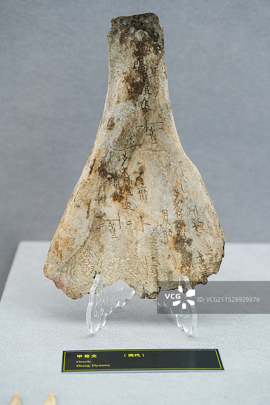 商代 甲骨文图片素材