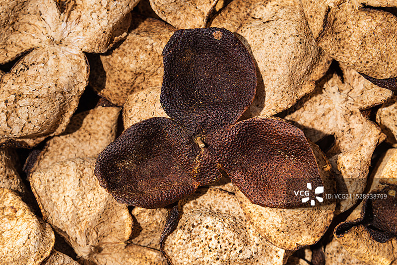 干陈皮，广东新会特产图片素材