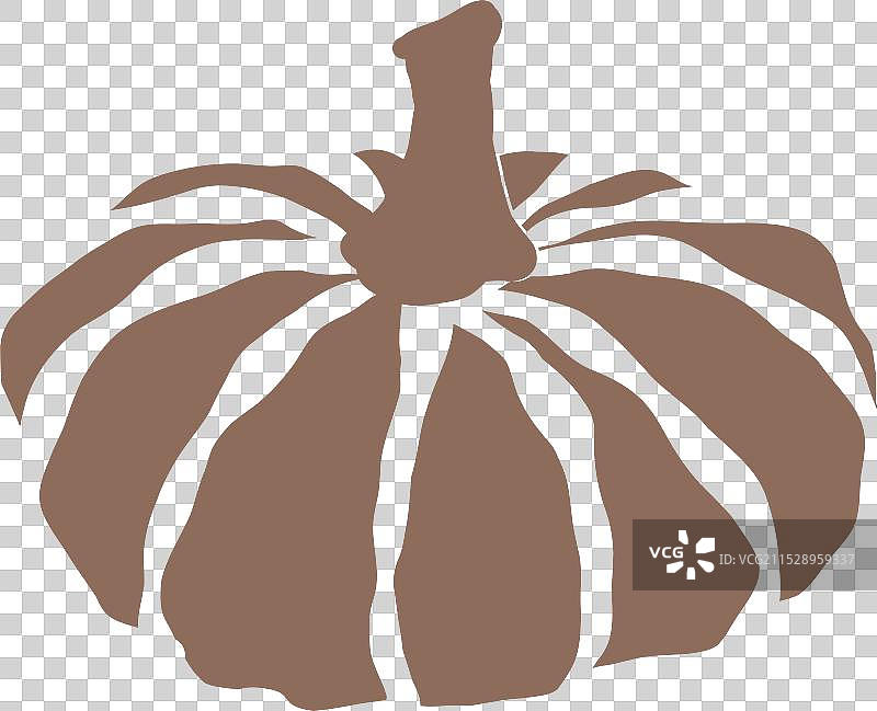 一个大南瓜静静地放在古朴的木桌上图片素材