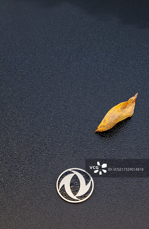 落叶与车标的倾诉图片素材