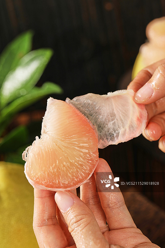 柚子 文旦柚 红肉文旦柚 红心柚子 红心蜜柚 红心文旦柚 度尾文旦柚 福建文旦柚 红肉蜜柚  白心柚图片素材