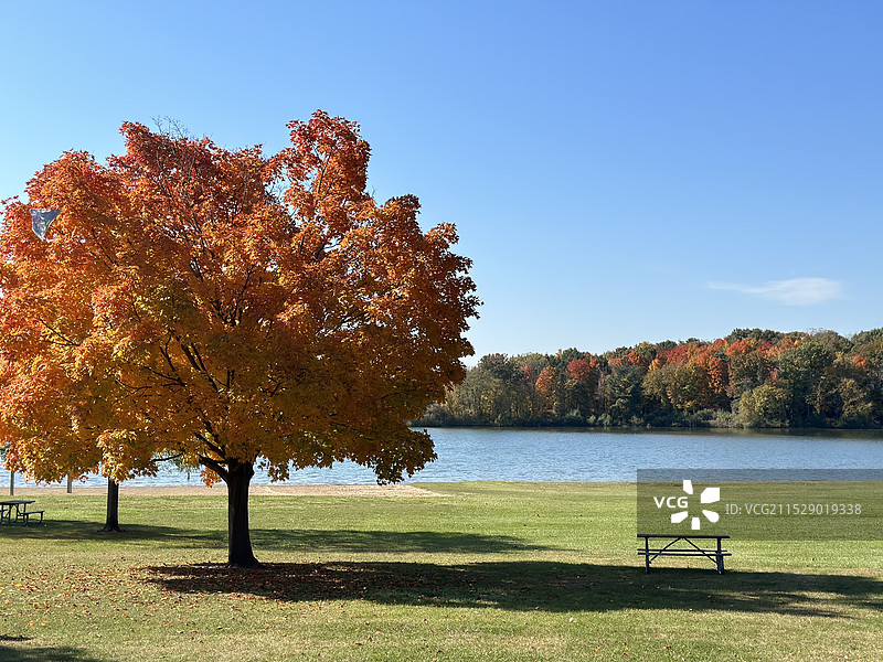 密歇根公园的秋天图片素材
