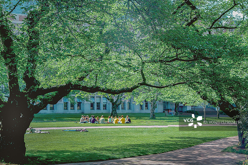 美国华盛顿大学校园春色图片素材