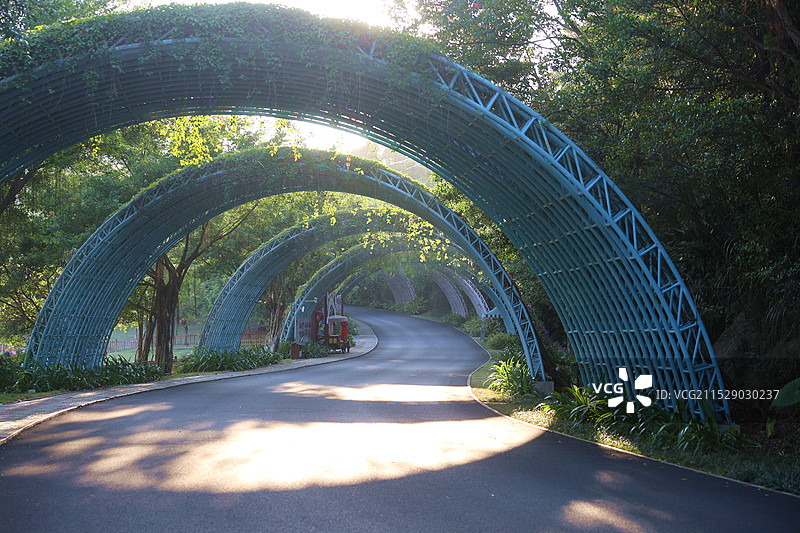 南宁，阳光照耀青秀山公路图片素材
