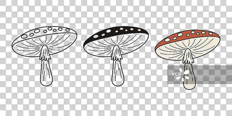 平面手绘卡通毒蝇伞蘑菇图片素材