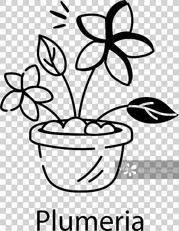 夹竹桃图片素材