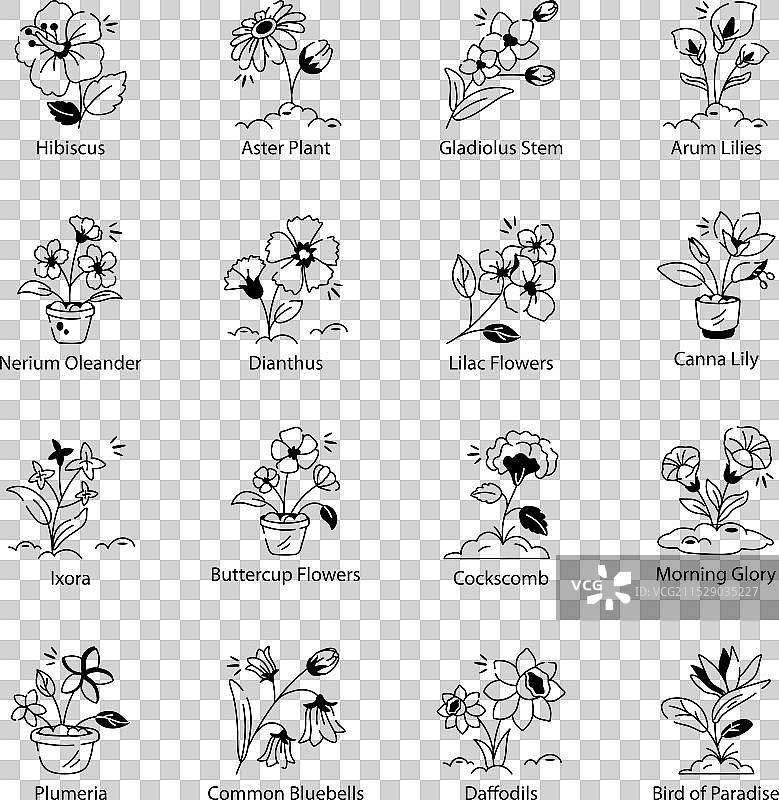一束涂鸦风格的盛开花朵图标图片素材