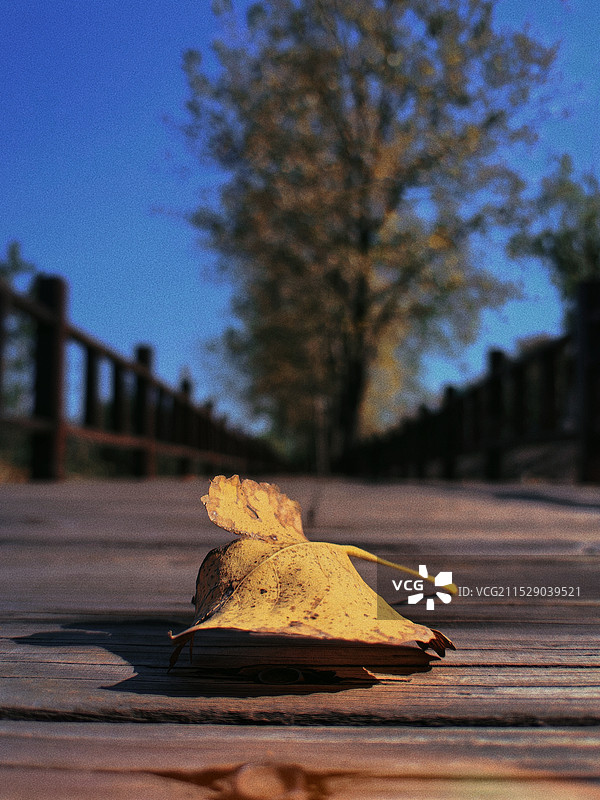 湖北钟祥莫愁湖图片素材