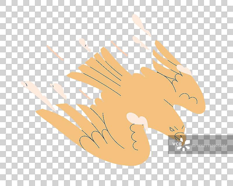 展翅飞翔的猎鹰在空中飞行图片素材