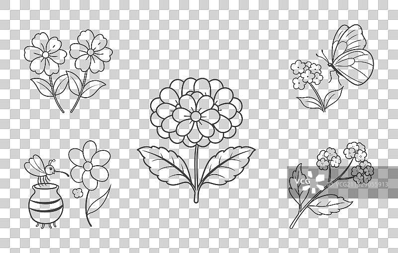 详细的香蜂草花线条艺术套装图片素材