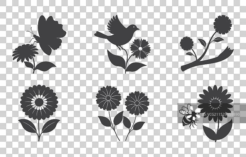 金盏菊花线条艺术套装图片素材