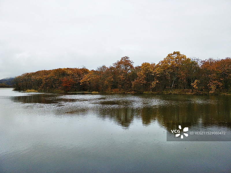 《大九湖的秋色》拍摄于湖北神农架图片素材