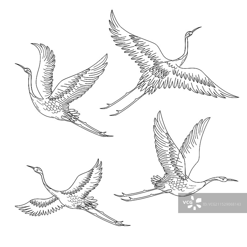 国风仙鹤黑白线稿海报设计背景元素插画图片素材