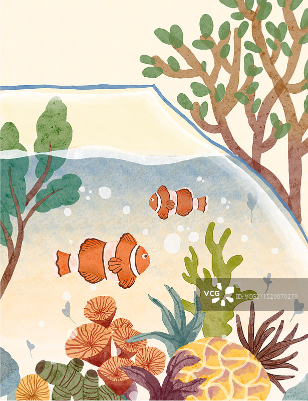 鱼缸里的鱼图片素材