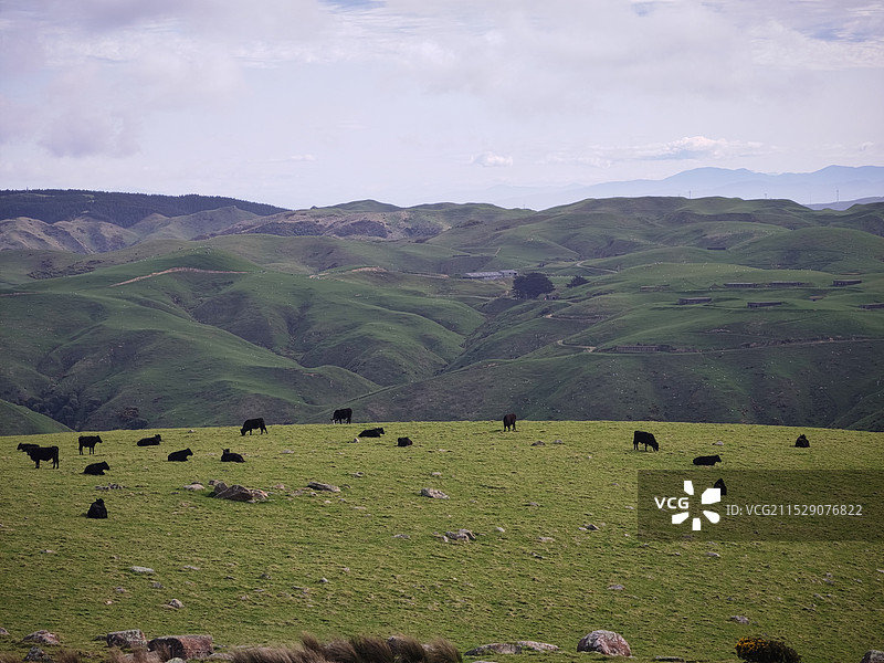 惠灵顿徒步，下哈特图片素材