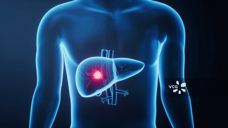 透明人体内的肝脏生物科技医学概念三维渲染图片素材