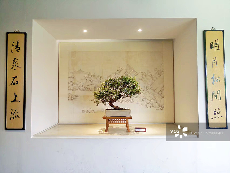 扬州瘦西湖景区 绿植盆景图片素材