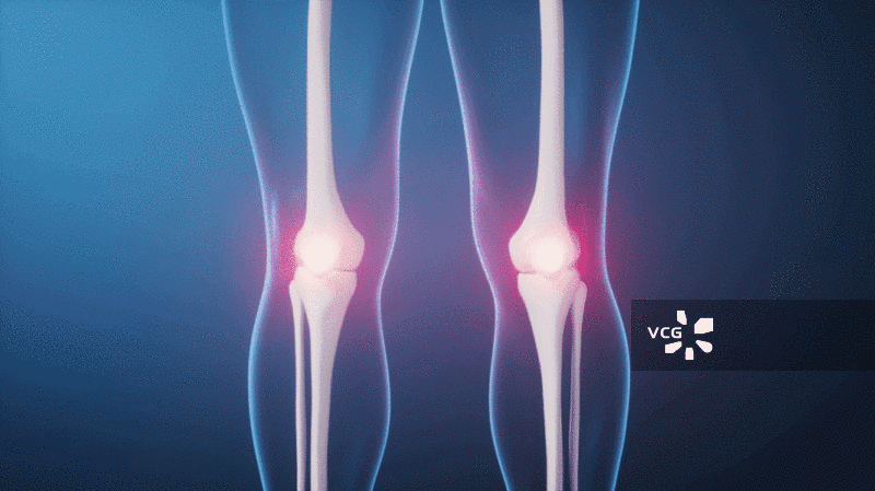 透明人体腿部骨骼生物科技医学概念三维渲染图片素材