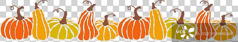 五彩缤纷的南瓜排列成一行图片素材