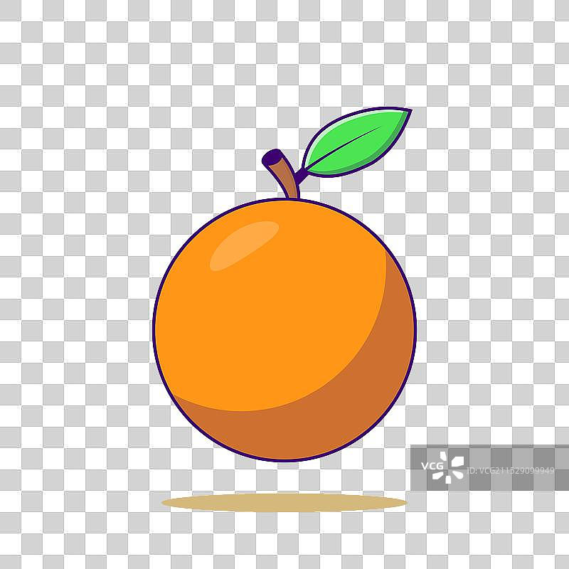 橙色卡通食物与自然橙子图片素材